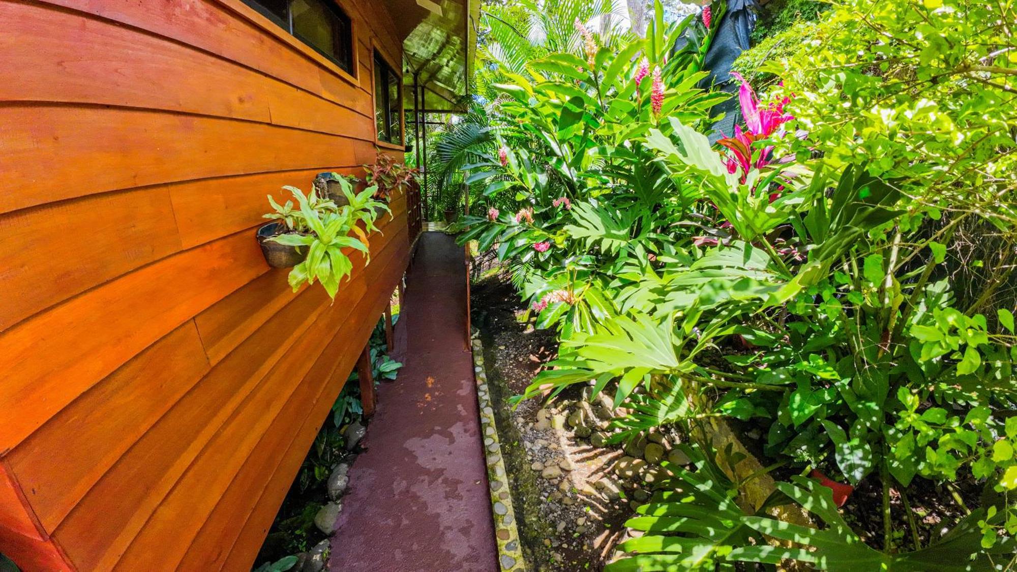 Bungalows Las Iguanas Arenal Volcano La Fortuna 외부 사진