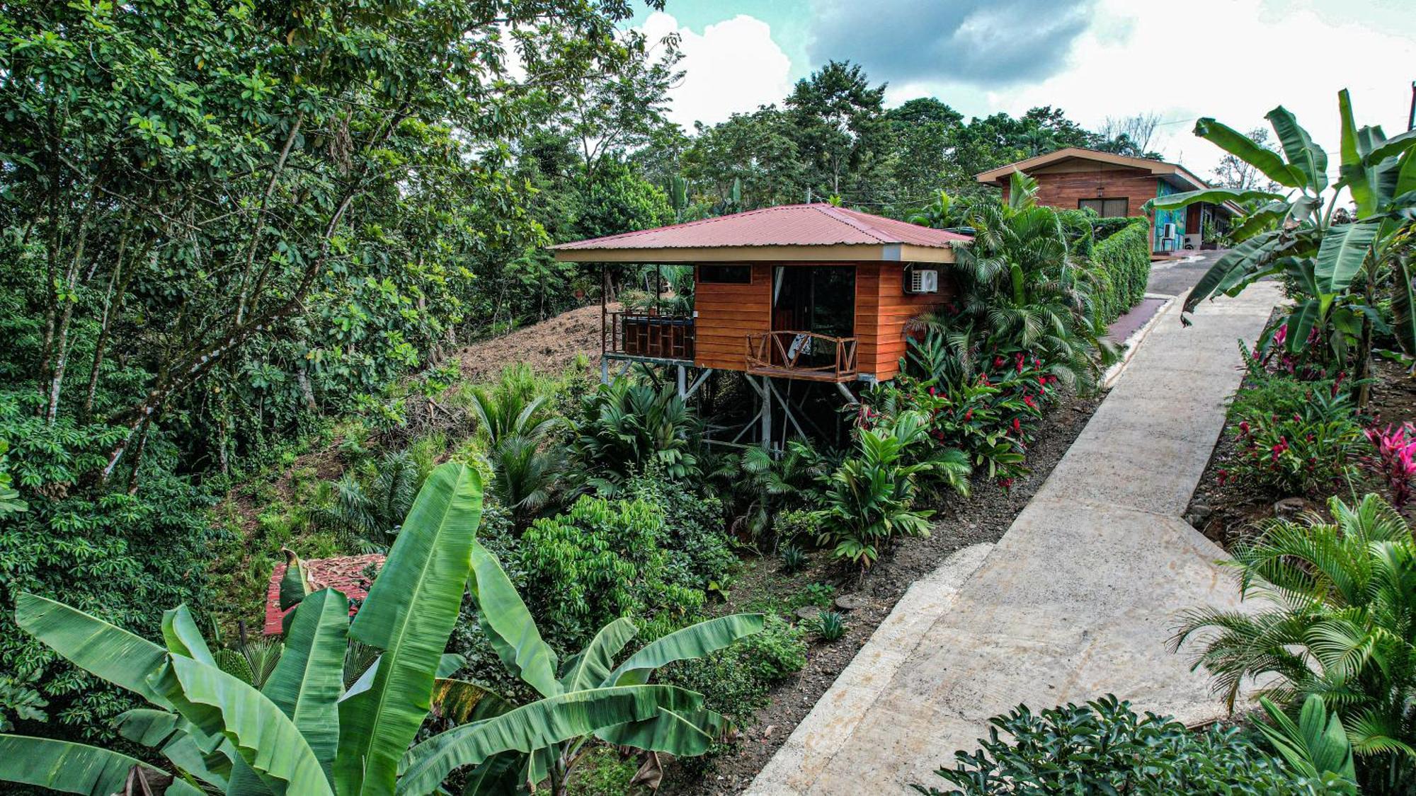 Bungalows Las Iguanas Arenal Volcano La Fortuna 외부 사진